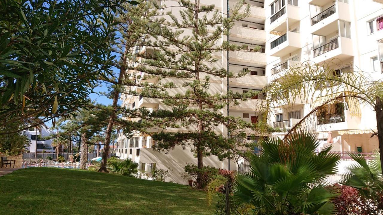 Apartment El Dorado Playa de las Americas  Exterior foto